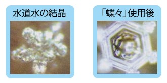 活水器 蝶々の商品説明
