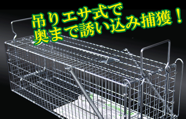 後ろ扉から捕獲した動物をスムーズに移動できます!