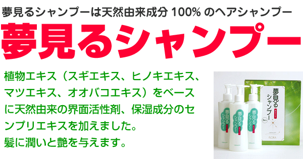 夢見るシャンプー 300mlの商品画像