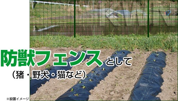 簡単金網フェンス イノシシ対策・野良犬対策・猫対策のフェンスとして