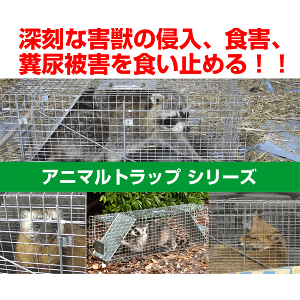 「アニマルトラップ ストロング」