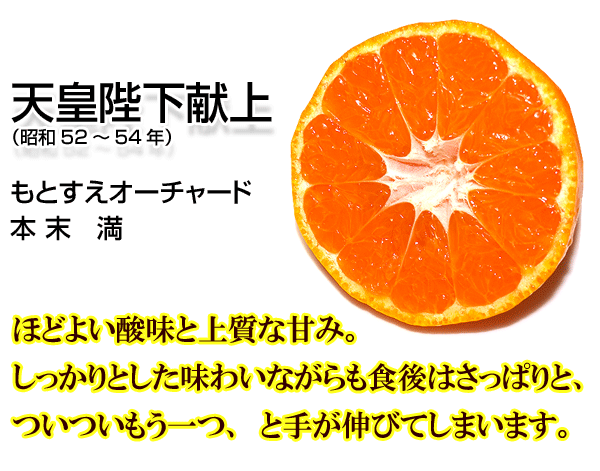 こだわり大長みかん(秀品)の商品説明
