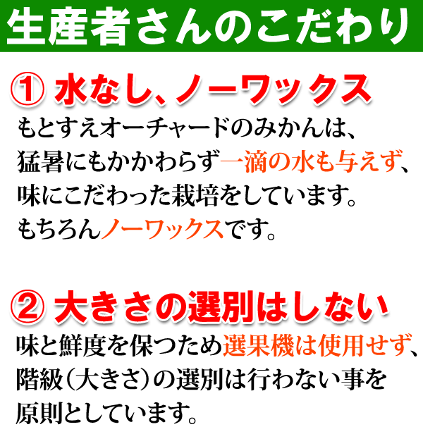 こだわり大長みかん(秀品)の商品説明