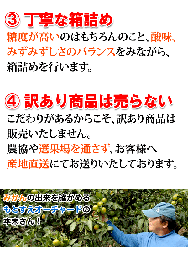 こだわり大長みかん(秀品)の商品説明