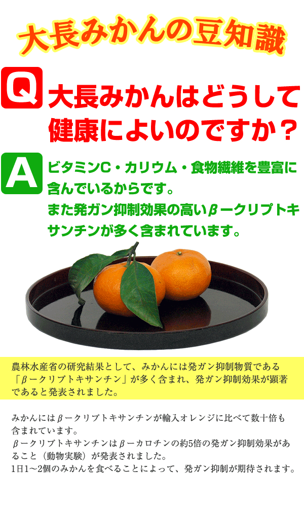 こだわり大長みかん(秀品)の商品説明