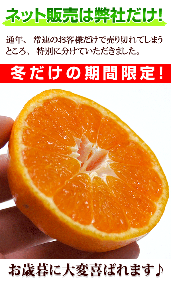 こだわり大長みかん(秀品)の商品説明