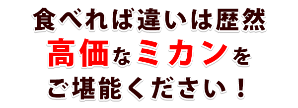 こだわり大長みかん(秀品)の商品説明