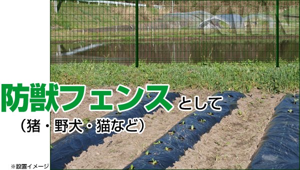 基礎工事不要