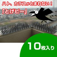 �Ƃ��s�[�@10������ �����ʐ^�P