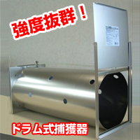�h�������ߊl�� �����ʐ^�P