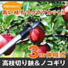 「3m伸縮式高枝切り鋏&ノコギリ」
