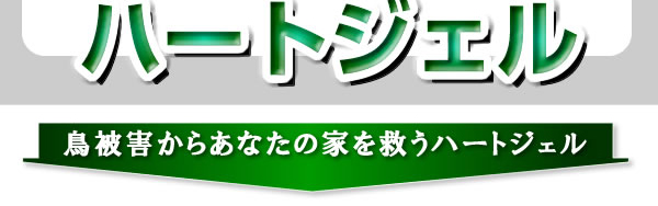 ���̔�Q����A���Ȃ��̉Ƃ��~���n�[�g�W�F���I