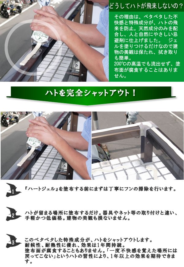 ハトを完全シャットアウト!