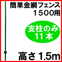 �A�j�}���t�F���X�@1500�@�x���i11�{�j�̂� �����ʐ^�P