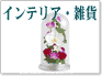 �C���e���A�E���L