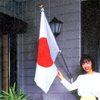 国旗Sセット