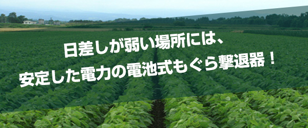安定した電力の電池式もぐら撃退器