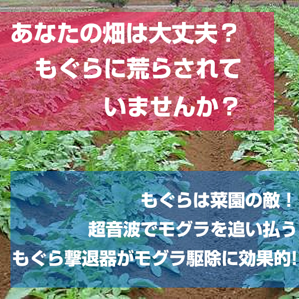 モグラ駆除に効果的 もぐら撃退器