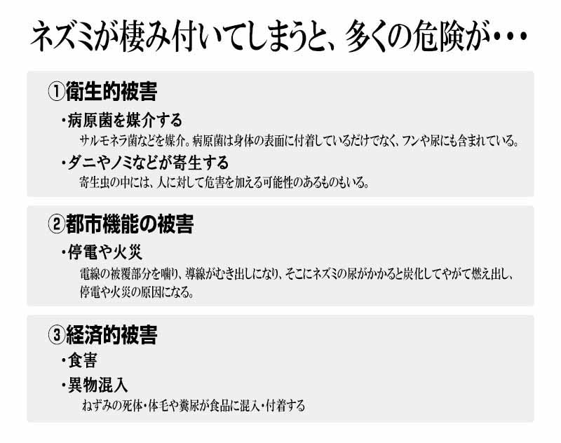 ネズミが棲みついてしまうと多くの危険が…