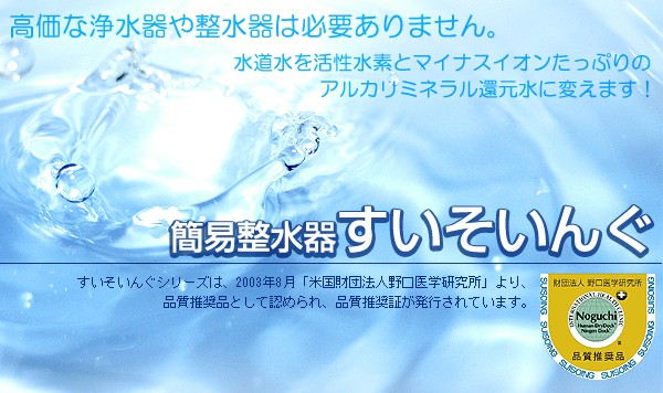 すいそいんぐの商品画像
