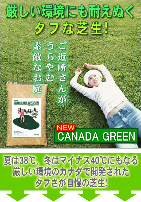 ニューカナダグリーンの商品画像