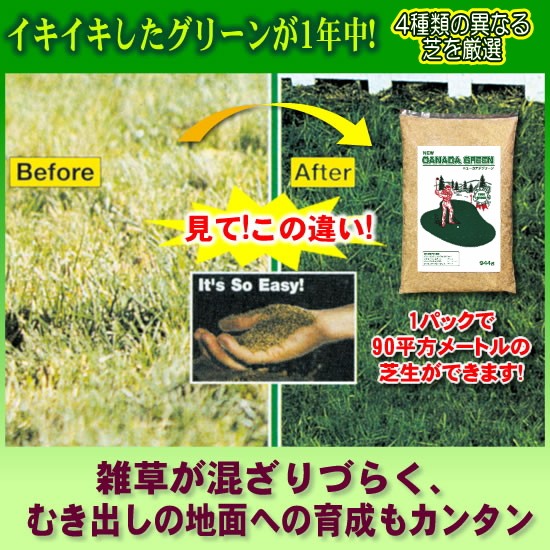 ニューカナダグリーンの商品説明