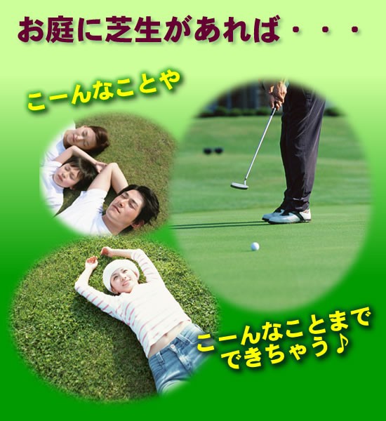 ニューカナダグリーンの商品説明