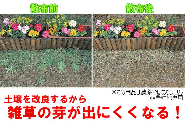 無農薬除草剤 草枯れちゃん」墓地や遊歩道、畳の路肩や目地にと、様々