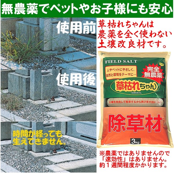 無農薬除草剤 草枯れちゃん 墓地や遊歩道 畳の路肩や目地にと 様々な場所で活躍します 雑草対策に人畜無害の除草剤 あっと解消 本店