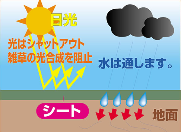 雑草防止シート(防草シート)の商品説明