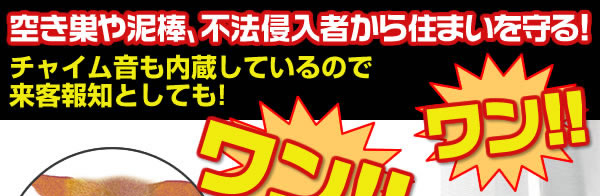 空き巣や泥棒、不法侵入者から住まいを守る！
