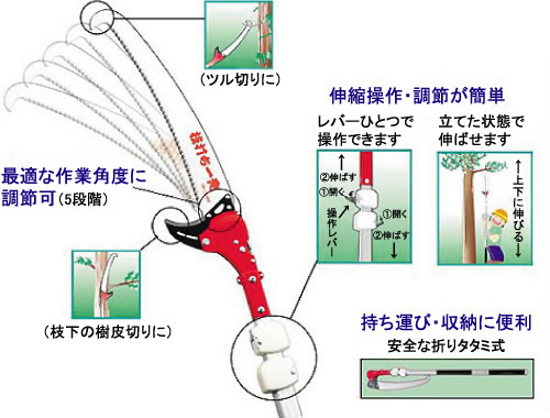 枝打ち一発の商品説明