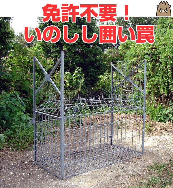 ̂͂㩂̏i摜