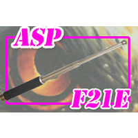 ����x�_ ASP�G���N�g�����X 21�C���` �����ʐ^�P