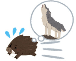 オオカミ(ウルフ)尿 ハイイロオオカミ