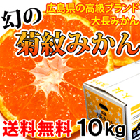 菊紋みかん（秀品）」毎年採れる訳じゃありません！幻のみかん広島最