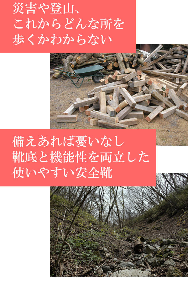 安全靴の商品画像