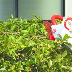 �[�d���@���_���荞�݋@�̏��i����