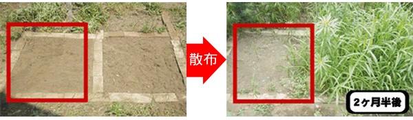 雑草抑制剤 グランドキープ 750gの商品説明
