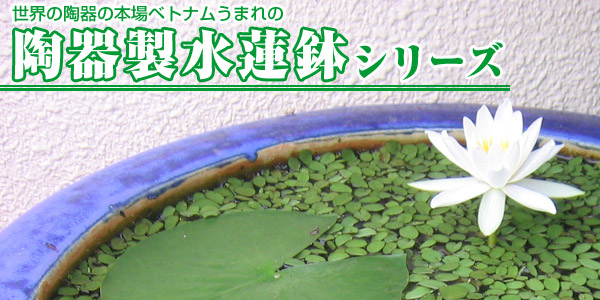 陶器水蓮鉢2点セット 白波の商品画像