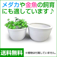 陶器水蓮鉢2点セット 白波 説明写真１