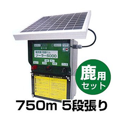 �d�C��@�h�b����@�V�J�p�@750m�@5�i����Z�b�g �����ʐ^�P