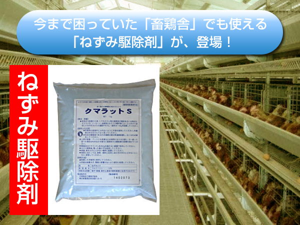 DIY 自分で出来る害虫駆除養豚 養鶏 畜舎用粉末殺鼠剤 ドブネズミ対策