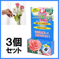 �R�R�X�L�[�v 12�����@3�Z�b�g �����ʐ^�P