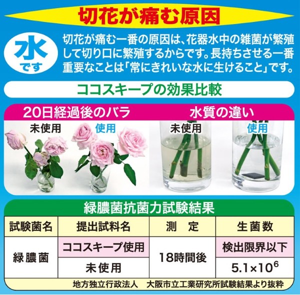 ココスキープ 12ヶ入 3個セットの商品説明