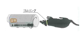 プロ・業務用ネズミ駆除器　チュートルンジャーの商品説明
