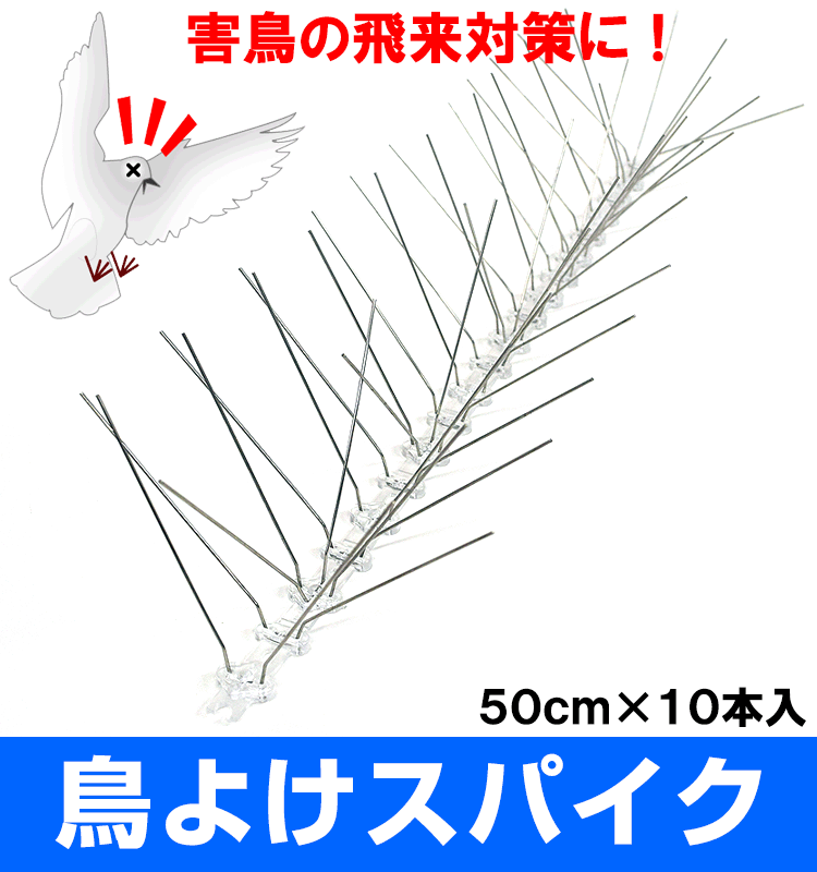 悯XpCN̏i摜