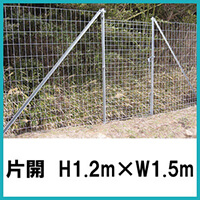 Ԗiyʁj@ЊJ H1.2~W1.5