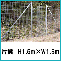 Ԗiyʁj@ЊJ H1.2~W1.5