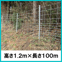 pl^ ԃtFX 1200